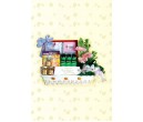 CH8114<br/>New Born